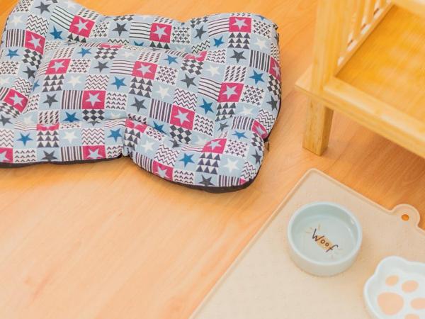 Boavista Guest House : photo 2 de la chambre chambre double ou lits jumeaux supérieure