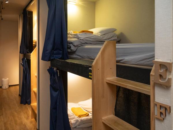 Tokyo Guest House Ouji Music Lounge : photo 2 de la chambre lit superposé dans dortoir mixte