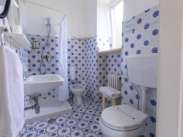 Hotel Villa Sarah : photo 3 de la chambre chambre simple - vue sur jardin