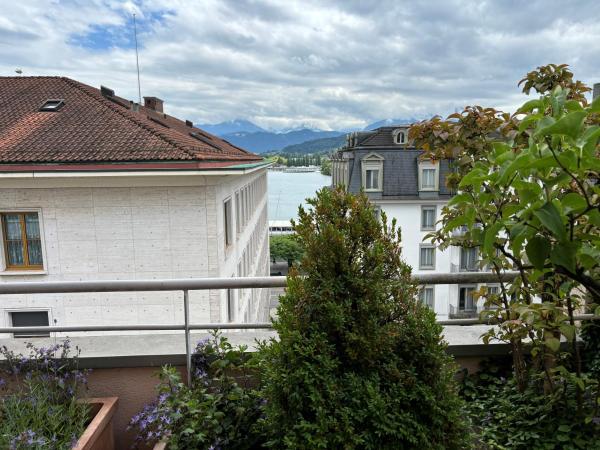 Hotel Luzernerhof : photo 10 de la chambre appartement avec terrasse
