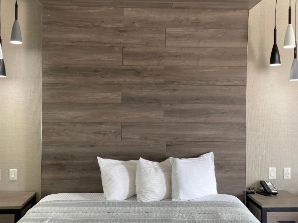 Express Inn - Richey : photo 4 de la chambre suite supérieure lit king-size