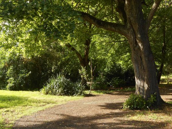 Clos du Bois Brard B&B : photo 3 de la chambre chambre double - vue sur piscine