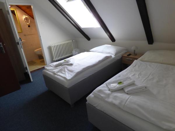 Hotel Svornost : photo 1 de la chambre suite