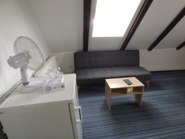 Hotel Svornost : photo 4 de la chambre suite