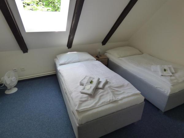 Hotel Svornost : photo 7 de la chambre suite