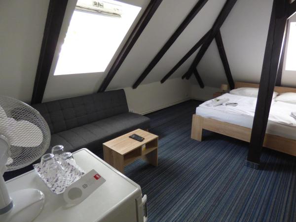 Hotel Svornost : photo 3 de la chambre suite