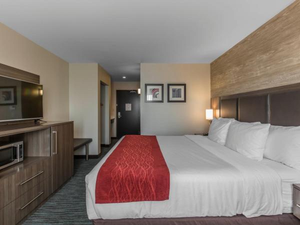 Comfort Inn & Suites Airport North : photo 2 de la chambre chambre lit king-size