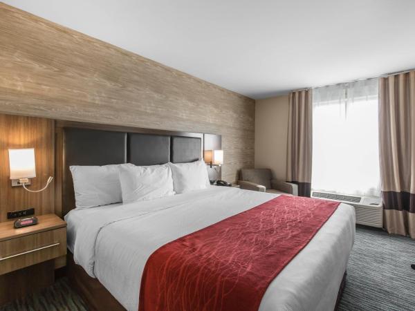 Comfort Inn & Suites Airport North : photo 4 de la chambre chambre lit king-size