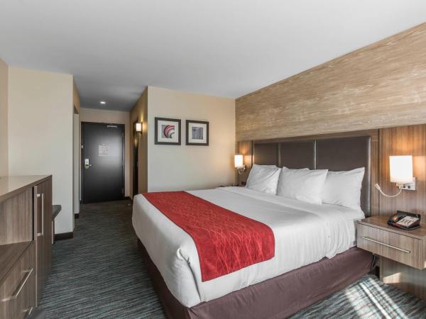 Comfort Inn & Suites Airport North : photo 5 de la chambre chambre lit king-size