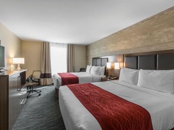 Comfort Inn & Suites Airport North : photo 5 de la chambre chambre avec 2 grands lits queen-size 