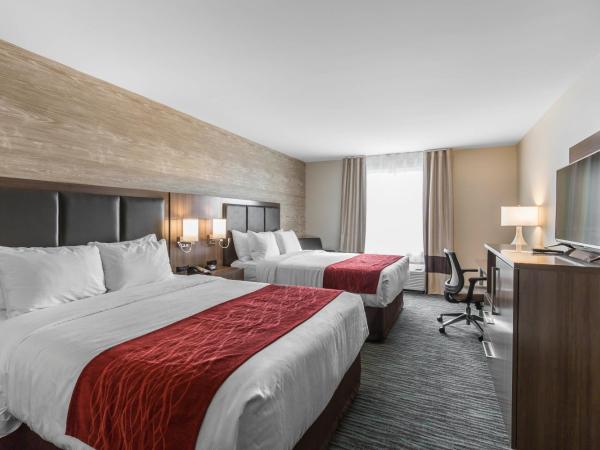 Comfort Inn & Suites Airport North : photo 1 de la chambre chambre avec 2 grands lits queen-size 