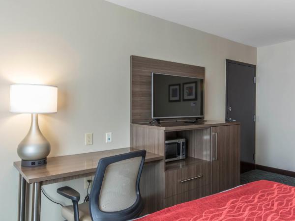 Comfort Inn & Suites Airport North : photo 2 de la chambre chambre avec 2 grands lits queen-size 