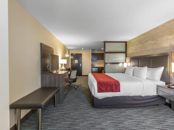 Comfort Inn & Suites Airport North : photo 2 de la chambre suite lit king-size avec canapé-lit