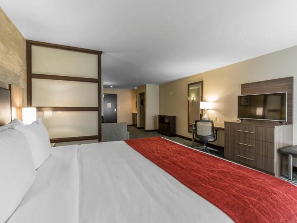 Comfort Inn & Suites Airport North : photo 3 de la chambre suite lit king-size avec canapé-lit
