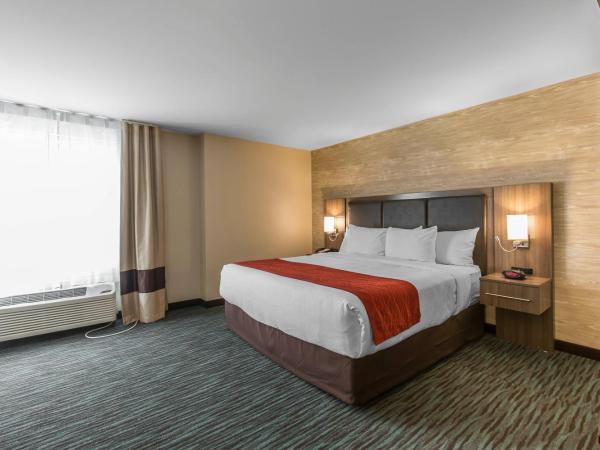 Comfort Inn & Suites Airport North : photo 1 de la chambre chambre lit king-size