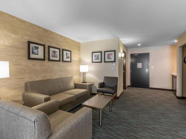 Comfort Inn & Suites Airport North : photo 4 de la chambre suite lit king-size avec canapé-lit