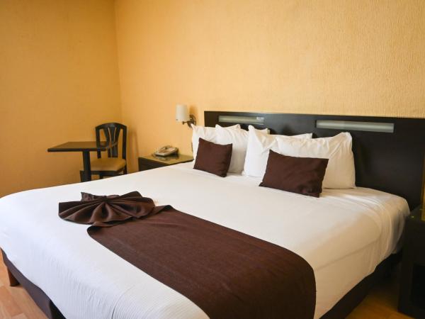 Hotel Santa Irene Guadalajara : photo 2 de la chambre chambre lit king-size