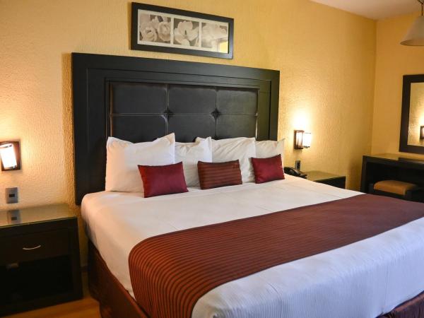 Hotel Santa Irene Guadalajara : photo 1 de la chambre studio lit king-size avec canapé-lit