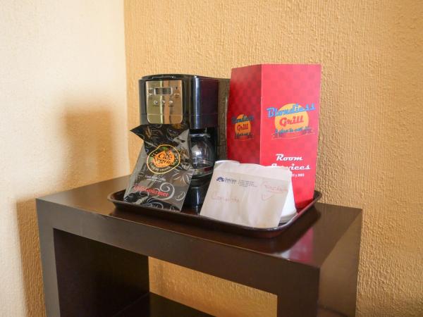 Hotel Santa Irene Guadalajara : photo 5 de la chambre chambre lit king-size