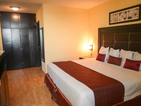 Hotel Santa Irene Guadalajara : photo 4 de la chambre studio lit king-size avec canapé-lit