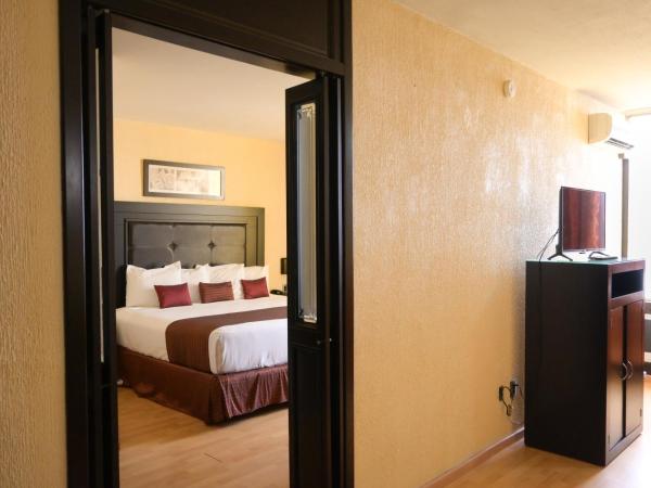 Hotel Santa Irene Guadalajara : photo 5 de la chambre studio lit king-size avec canapé-lit