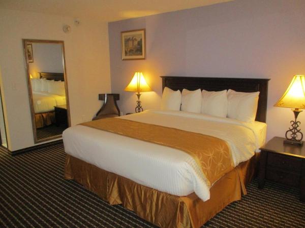 IAH 45 AIRPORT iNN & SUITES : photo 1 de la chambre chambre simple deluxe