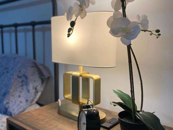 Newly renovated Elephant Suite, two beds, independent bathroom veryquiet : photo 3 de la chambre suite 1 chambre