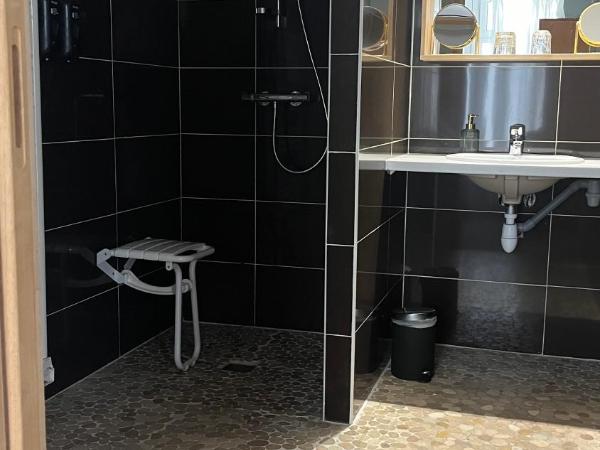 Hôtel Cosmopolitain : photo 3 de la chambre chambre double - accessible aux personnes à mobilité réduite 