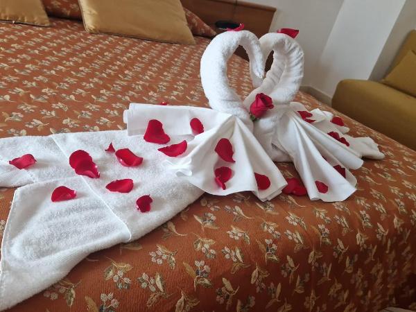 Hotel Minerva : photo 4 de la chambre chambre double supérieure - vue sur ville