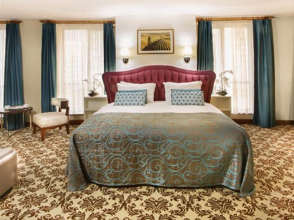 Mard-inn Hotel : photo 3 de la chambre suite lit king-size