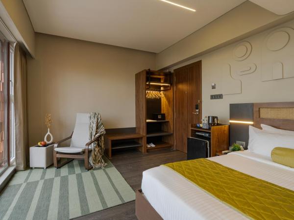 Fressotel, Kanakapura Road : photo 6 de la chambre chambre double supérieure