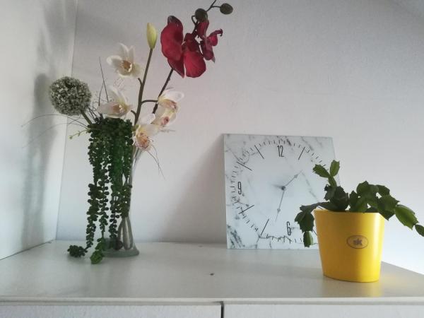 Ellena Sunshine : photo 1 de la chambre appartement