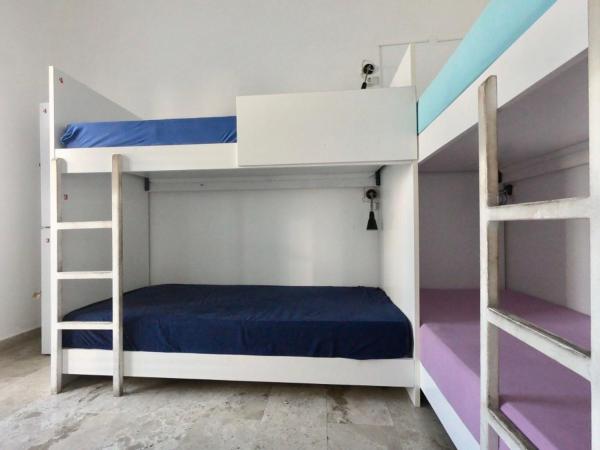 Fira Backpackers Place : photo 2 de la chambre lit dans dortoir pour femmes de 4 lits