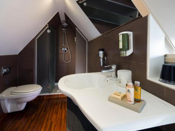 Hôtel Gutenberg : photo 3 de la chambre chambre double mansardée