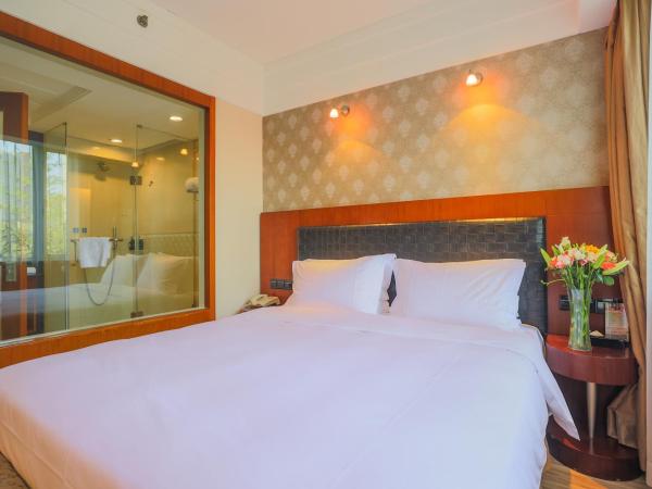 Grand Skylight Gardens Hotel Shanghai Bai Se Road : photo 4 de la chambre chambre double ou lits jumeaux standard