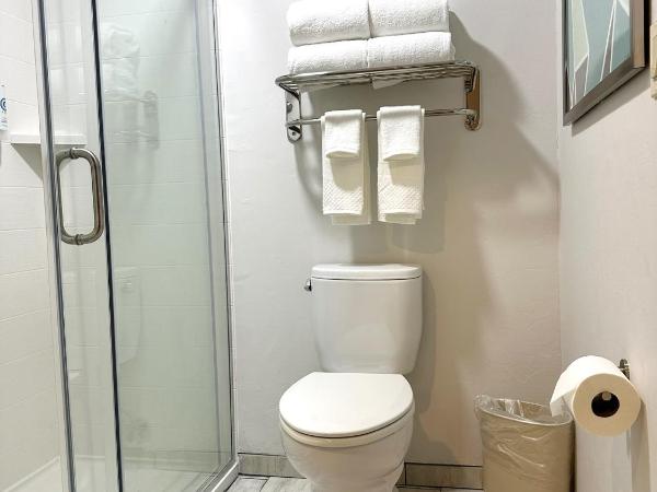 Comfort Suites at Tucson Mall : photo 5 de la chambre suite lit king-size avec canapé-lit - non-fumeurs