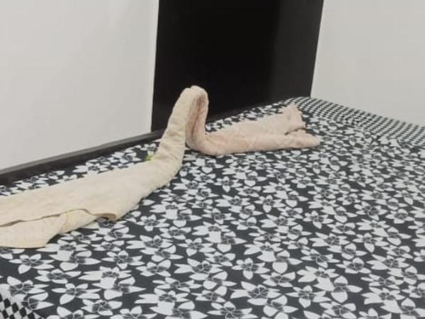 Hotel Sai Palace Walking Distance From Taj Mahal--View of Taj Mahal : photo 4 de la chambre chambre double classique avec ventilateur