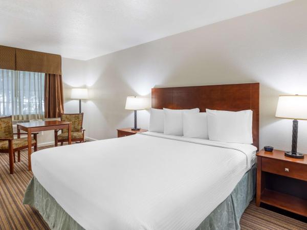 Best Western Capital City Inn : photo 2 de la chambre chambre lit king-size