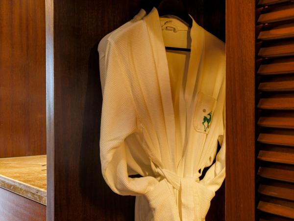 Luhuitou State Guesthouse & Resort : photo 8 de la chambre chambre lit king-size deluxe - vue sur mer