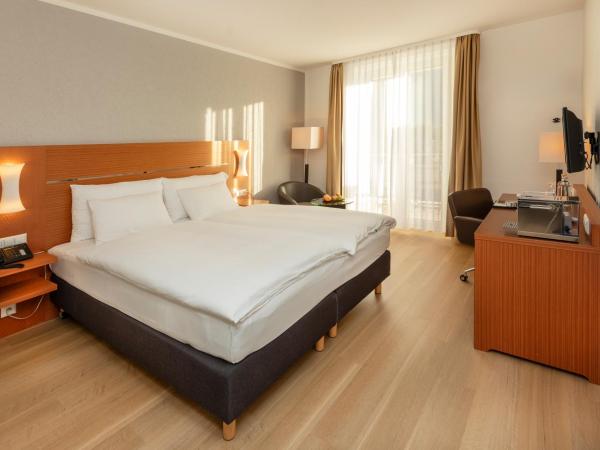 Hotel la Palma au Lac : photo 2 de la chambre chambre double supérieure - vue sur lac