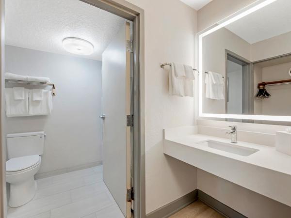 Comfort Inn & Suites Near Universal Orlando Resort-Convention Ctr : photo 8 de la chambre chambre lit king-size - non-fumeurs