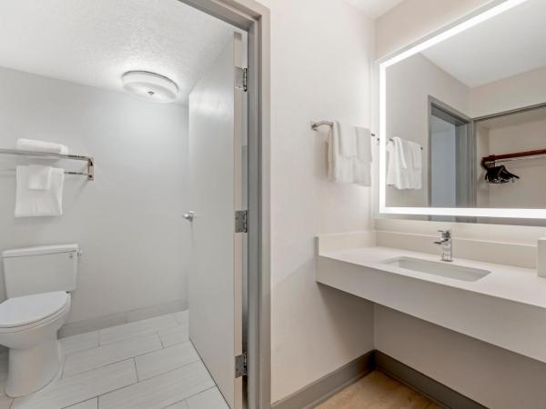 Comfort Inn & Suites Near Universal Orlando Resort-Convention Ctr : photo 7 de la chambre chambre lit king-size - non-fumeurs