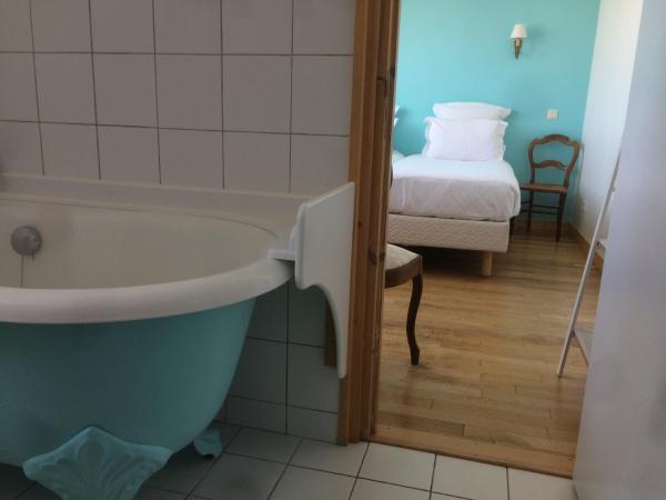 Hotel Particulier Richelieu : photo 8 de la chambre chambre double ou lits jumeaux