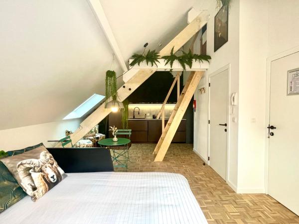 Maison Nelle Botanique - City Centre : photo 7 de la chambre studio supérieur