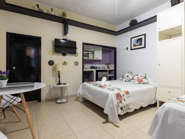 Satya Suites & Portal San Angel Flats : photo 5 de la chambre studio deluxe