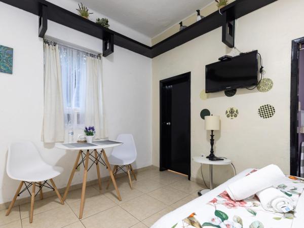 Satya Suites & Portal San Angel Flats : photo 6 de la chambre studio deluxe