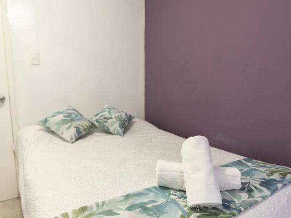 Satya Suites & Portal San Angel Flats : photo 5 de la chambre appartement