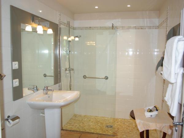 MAS DES FIGUES - Mas XVIII siècle - Piscine - très calme - Alpilles Saint Rémy de Provence - brunch méditerranéen salé sucré cuisine faite maison - ferme auberge agritourisme - Biologique FRBio potager bio huile d'olive bio jardin roseraie Biodiversité - : photo 2 de la chambre chambre double avec terrasse