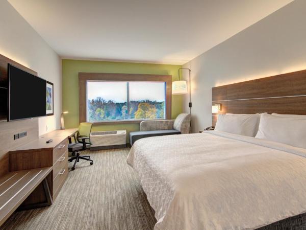 Holiday Inn Express & Suites Charlotte Southwest, an IHG Hotel : photo 2 de la chambre chambre lit king-size standard