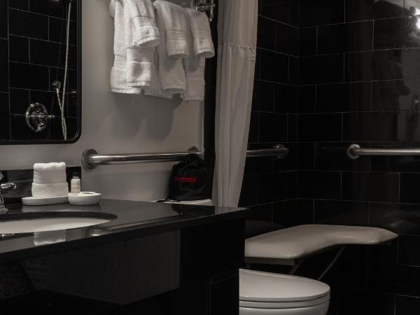 Bourbon Orleans Hotel : photo 6 de la chambre chambre lit king-size - accessible aux personnes à mobilité réduite